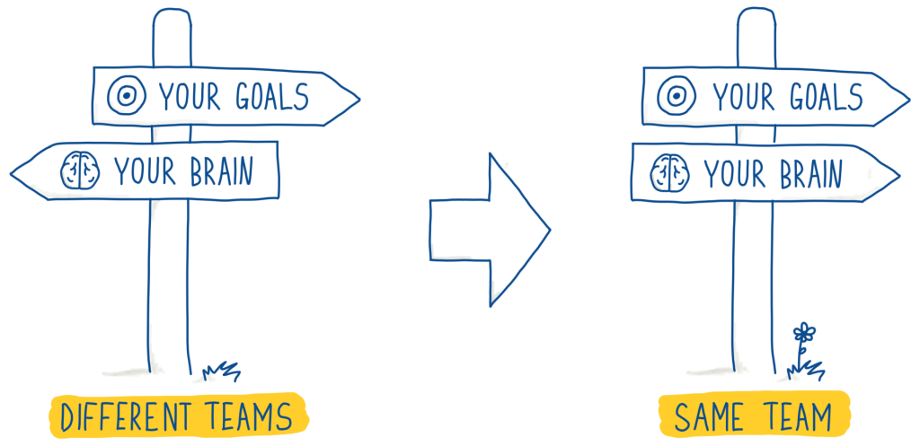 Same Team 2 - transparent short